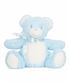 Blue Teddy